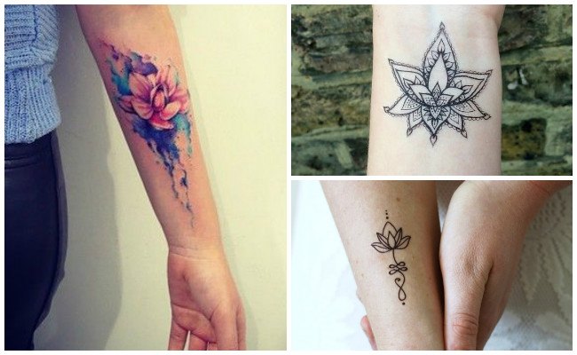 Imagenes Tatuajes De Flor De Loto Mujeres Y Hombres