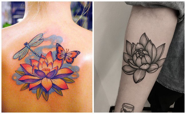 La flor de loto en tatuaje
