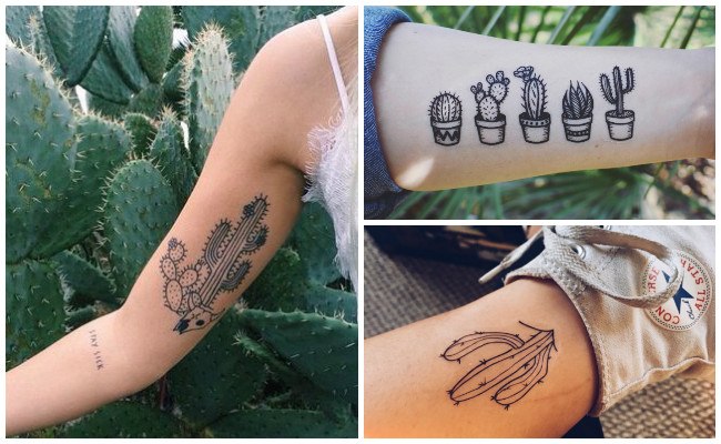 Fotos de tatuajes de cactus