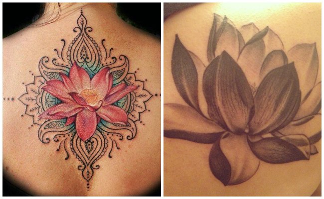 Tatuajes de flor de loto en la espalda