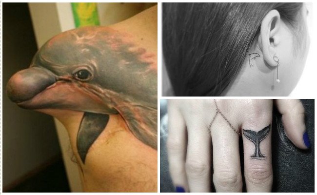 Tatuajes de delfines en el pie