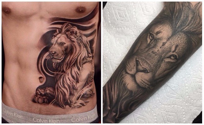 Tatuajes de leones en la panza