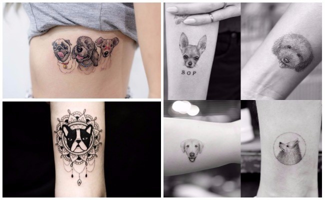 Tatuajes de perros dogos