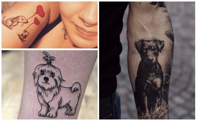 Tatuajes de perros galgos