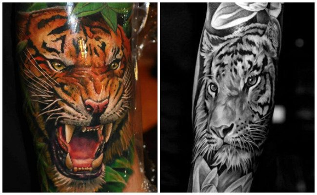 Tatuajes de tigres significado