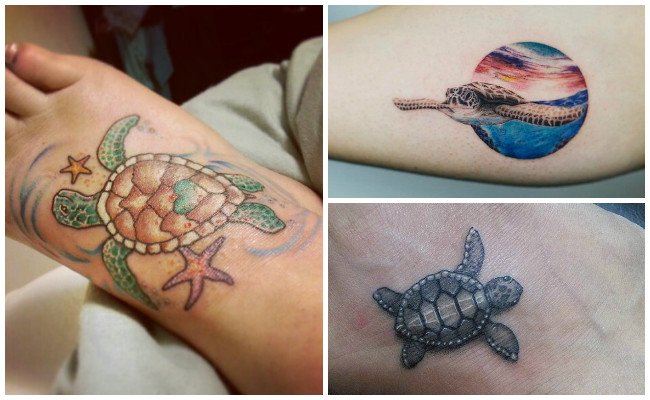 Tatuajes de tortugas e imágenes