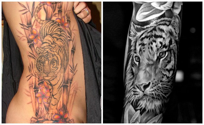 Tigres para tatuajes