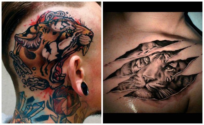 Tigres para tatuar