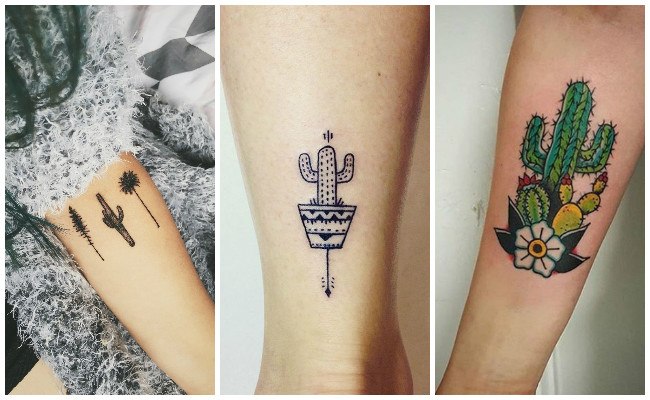 Ver tatuajes de cactus