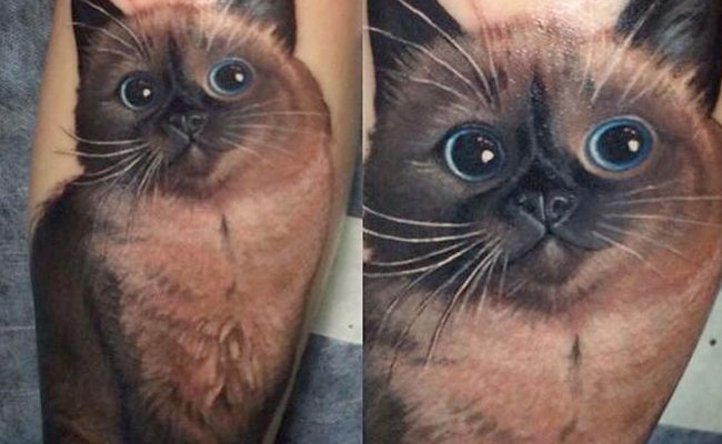 Tatuajes de gatos realistas